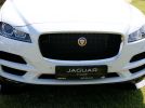 Миф или реальность: презентация Jaguar F-PACE - фотография 84